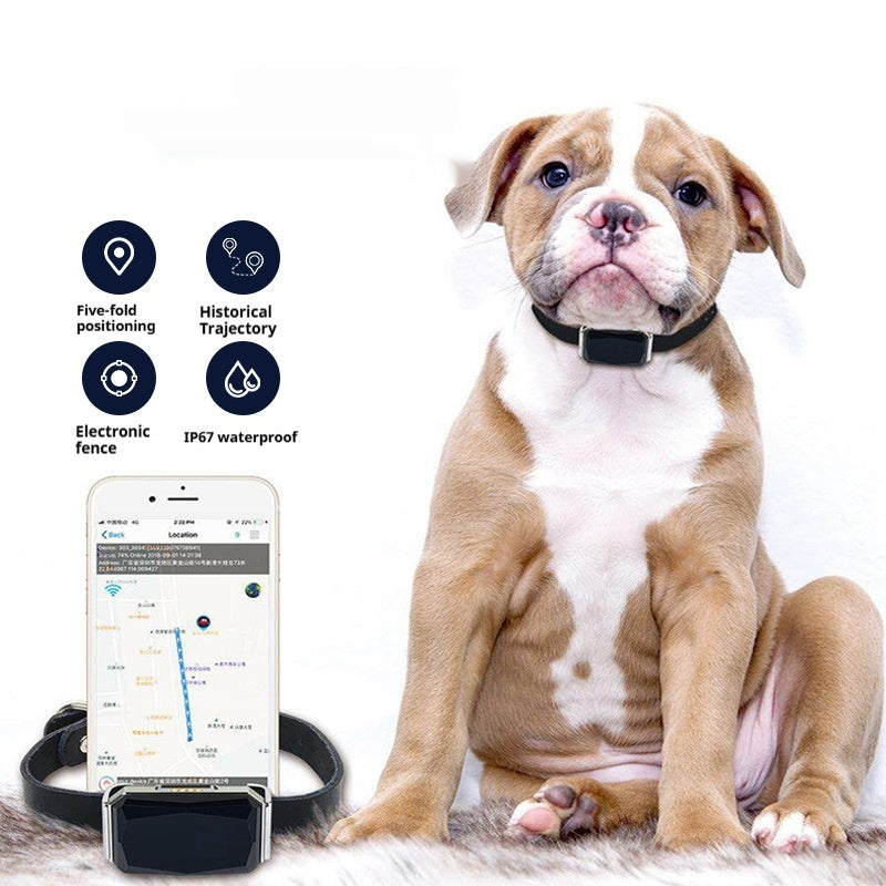 G12 Pet GPS Locator - Compact & Smart Design - Perfect for Cats and Dogs - Keep Your Pets Safe and Secure!