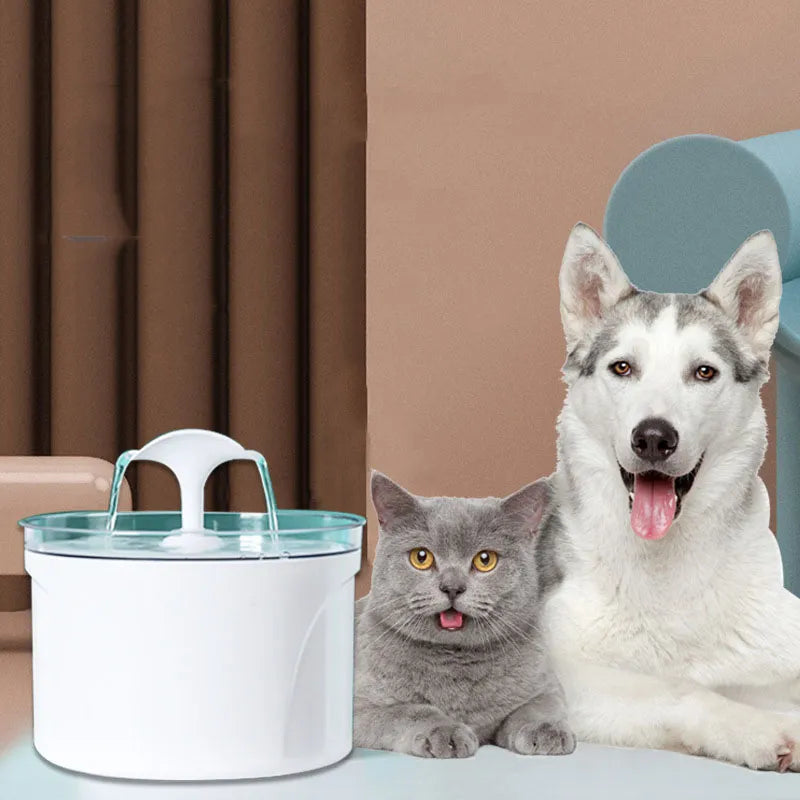 Pet Dog Cat Water Fountain - Electric Automatic Dispenser - Home Use Functionality - Limited Time Offer