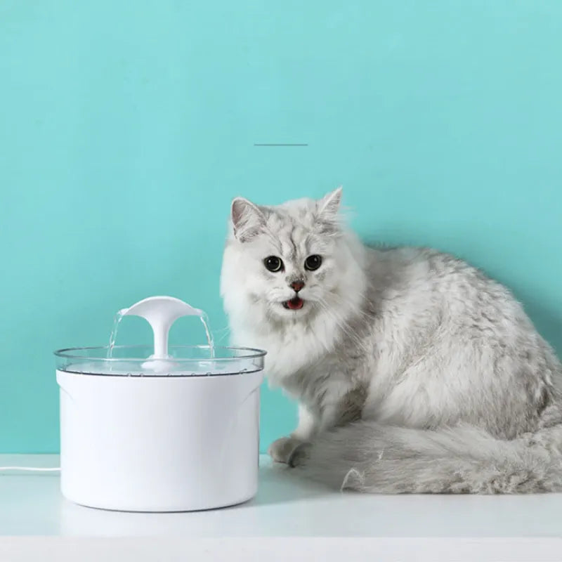 Pet Dog Cat Water Fountain - Electric Automatic Dispenser - Home Use Functionality - Limited Time Offer