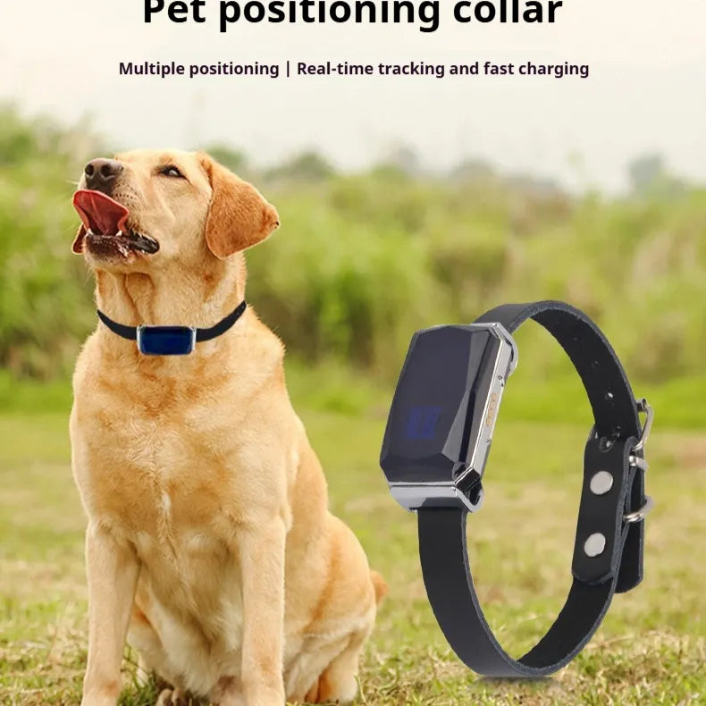 G12 Pet GPS Locator - Compact & Smart Design - Perfect for Cats and Dogs - Keep Your Pets Safe and Secure!