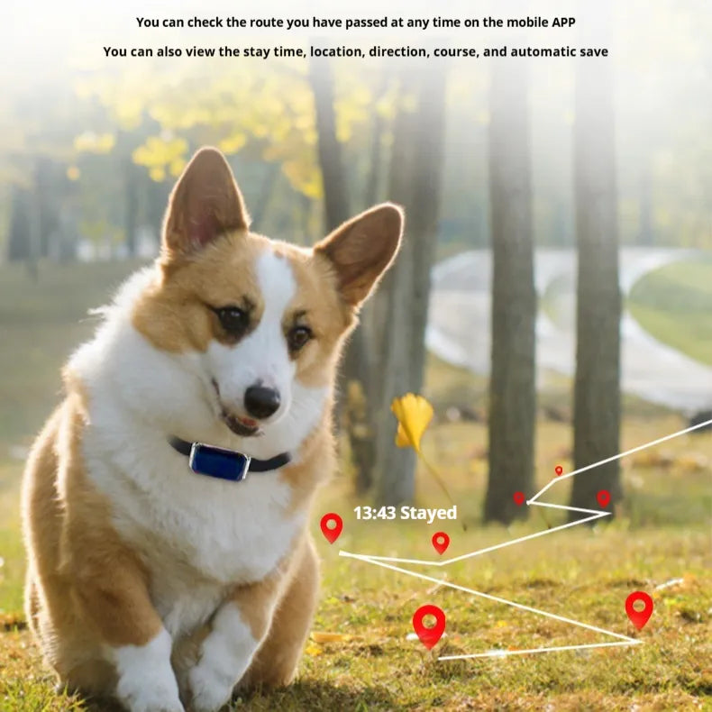 G12 Pet GPS Locator - Compact & Smart Design - Perfect for Cats and Dogs - Keep Your Pets Safe and Secure!