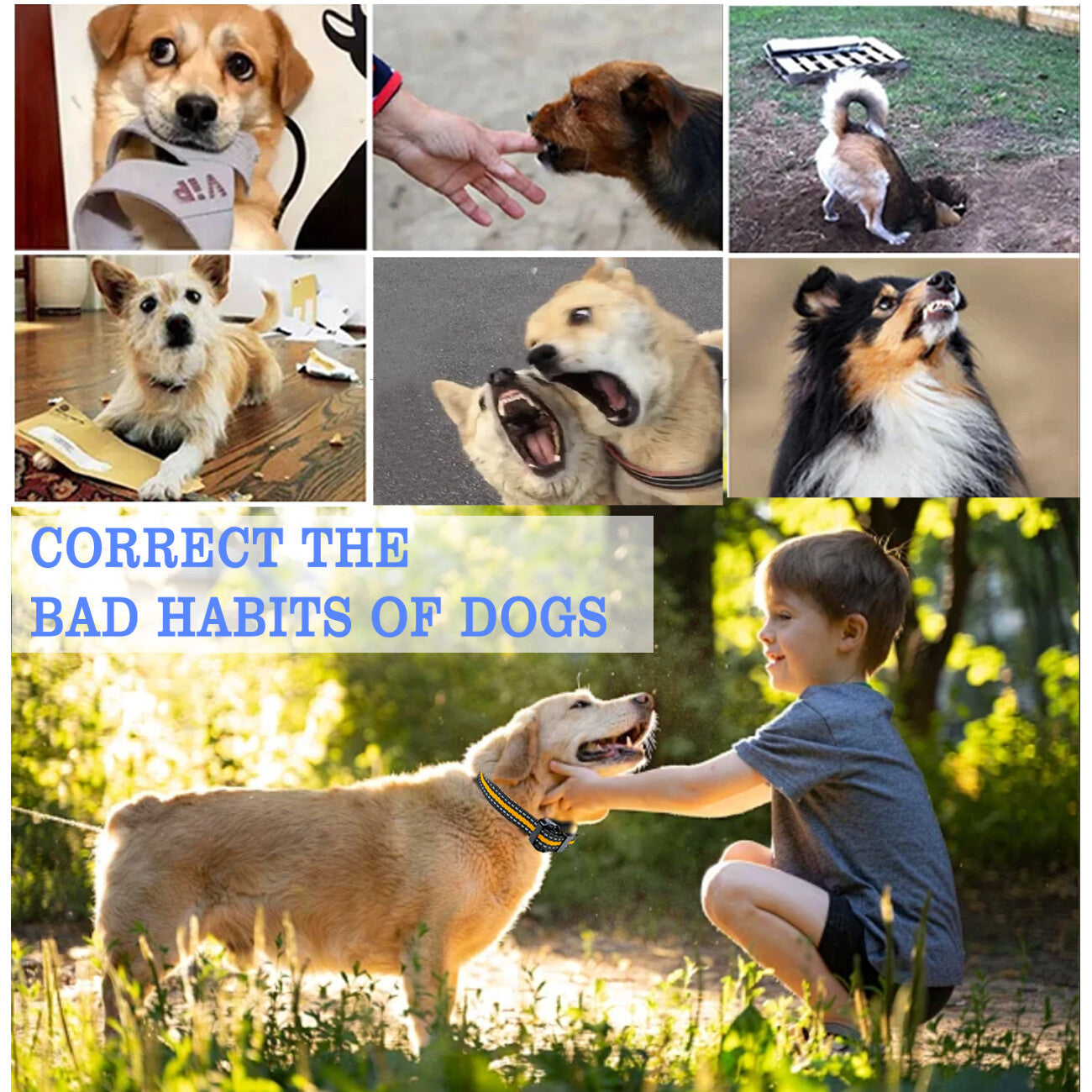 ElDog Rechargeable Waterproof Pet Training Collar - Electric Shock Anti-Bark System with 800m Range